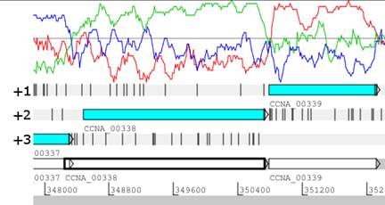2013-09-19 Figure 3 cropped - 300 resolution.tif
